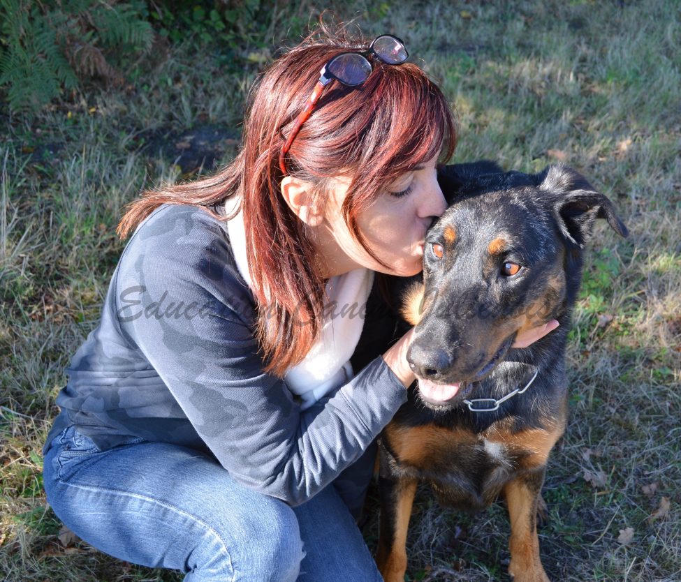 BEAUCERON – HOUPS